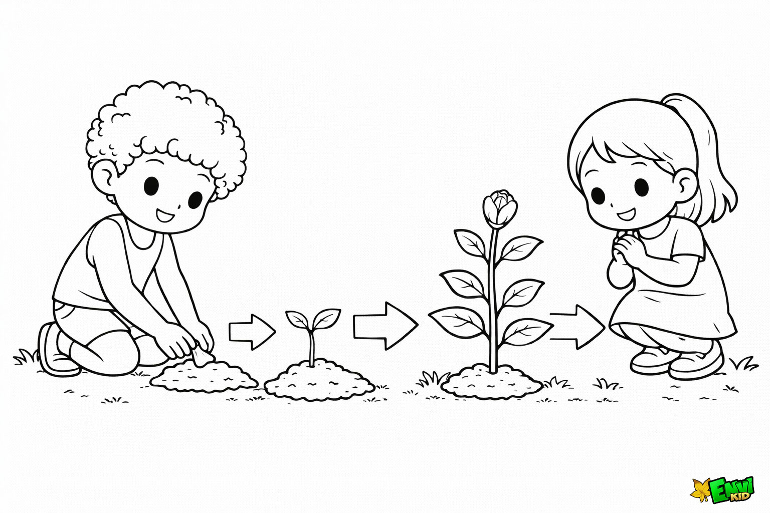 bitki-yasami-dongusu